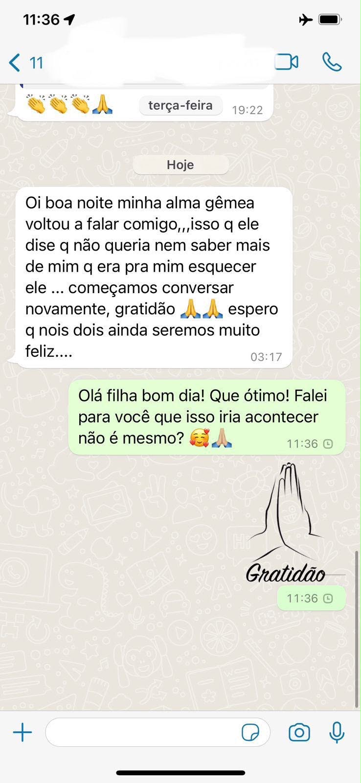 Print de conversa no WhatsApp com depoimento real de aluno 2